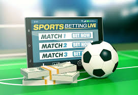 Betwinner Bangladesh Your Ultimate Betting Experience 435113144