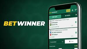 BetWinner Sports Betting Platform Your Guide to the Ultimate Betting Experience